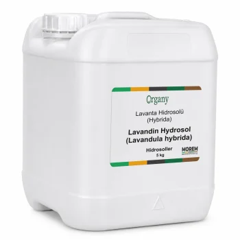 Lavanta Hidrosolü (Hybrida)